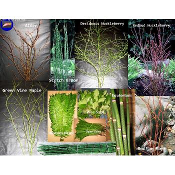 SORRY OUT OF SEASON The Ultimate Florist Collection